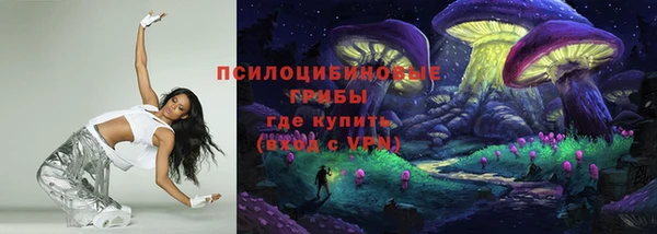 дурь Каменногорск