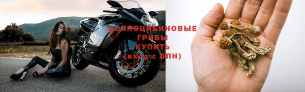 дурь Каменногорск